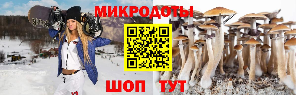Галлюциногенные грибы Magic Shrooms Уссурийск